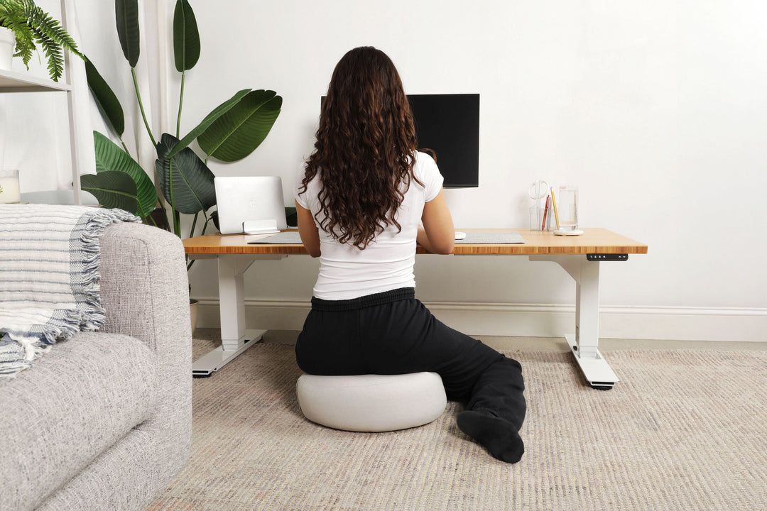Lowdesk Pro