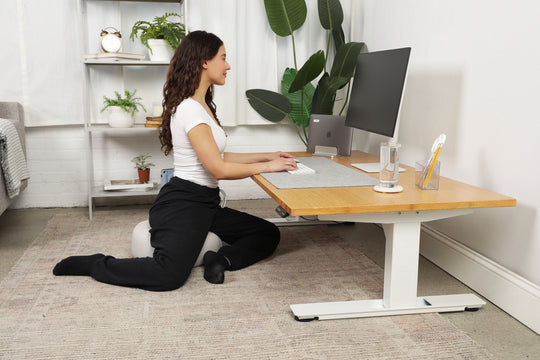 Lowdesk Pro