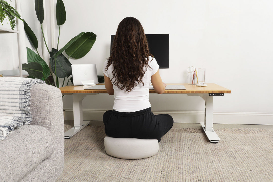 Lowdesk Pro