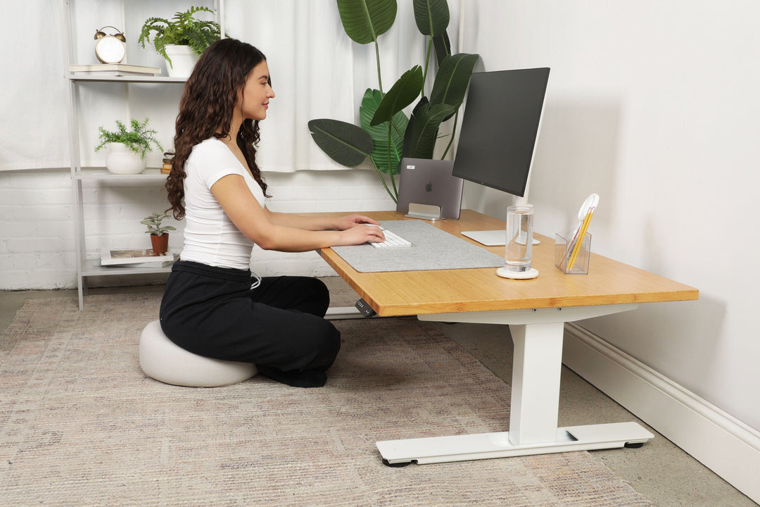 Lowdesk Pro