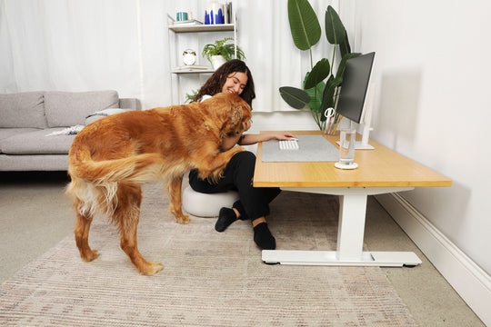 Lowdesk Pro