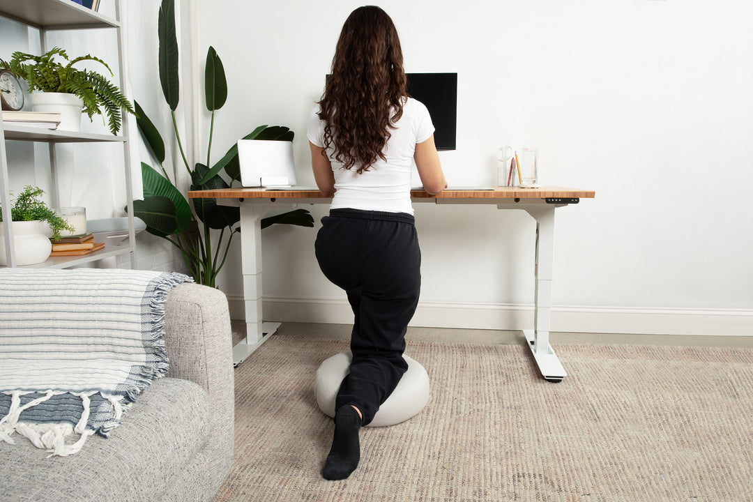 Lowdesk Pro
