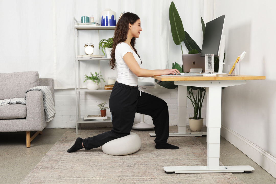 Lowdesk Pro