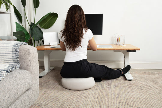 Lowdesk Pro