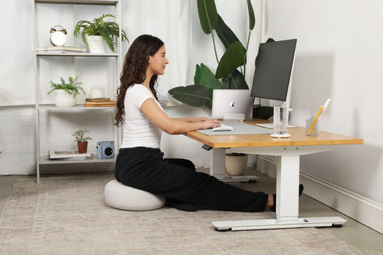 Lowdesk Pro