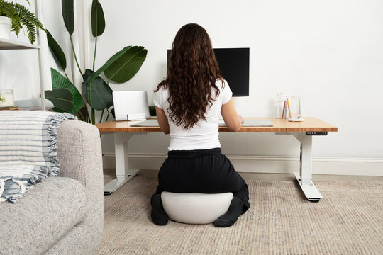 Lowdesk Pro