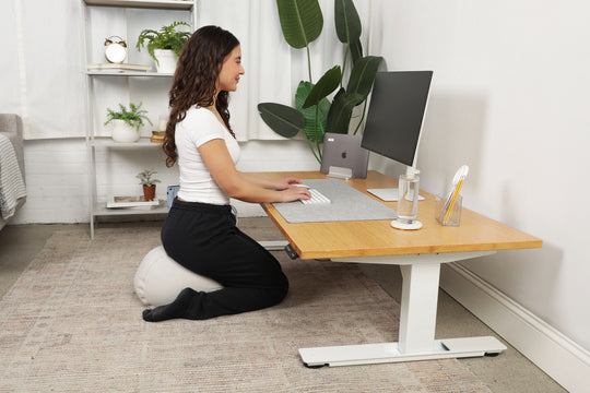 Lowdesk Pro