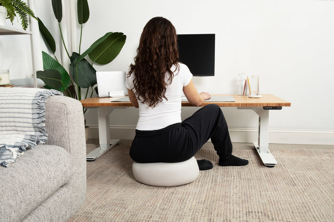 Lowdesk Pro