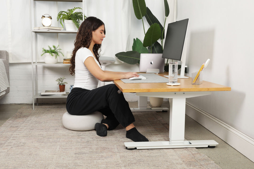 Lowdesk Pro