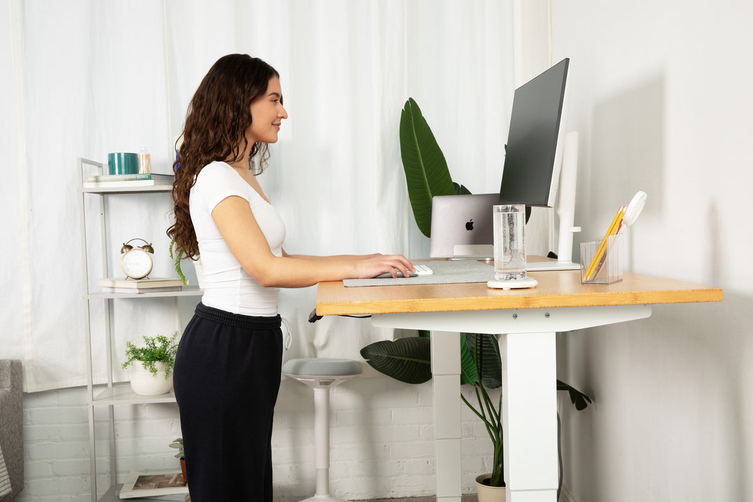 Lowdesk Pro