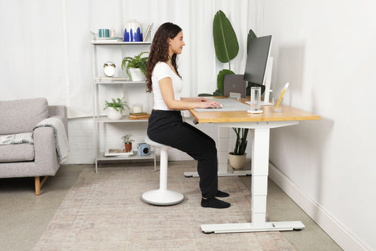 Lowdesk Pro